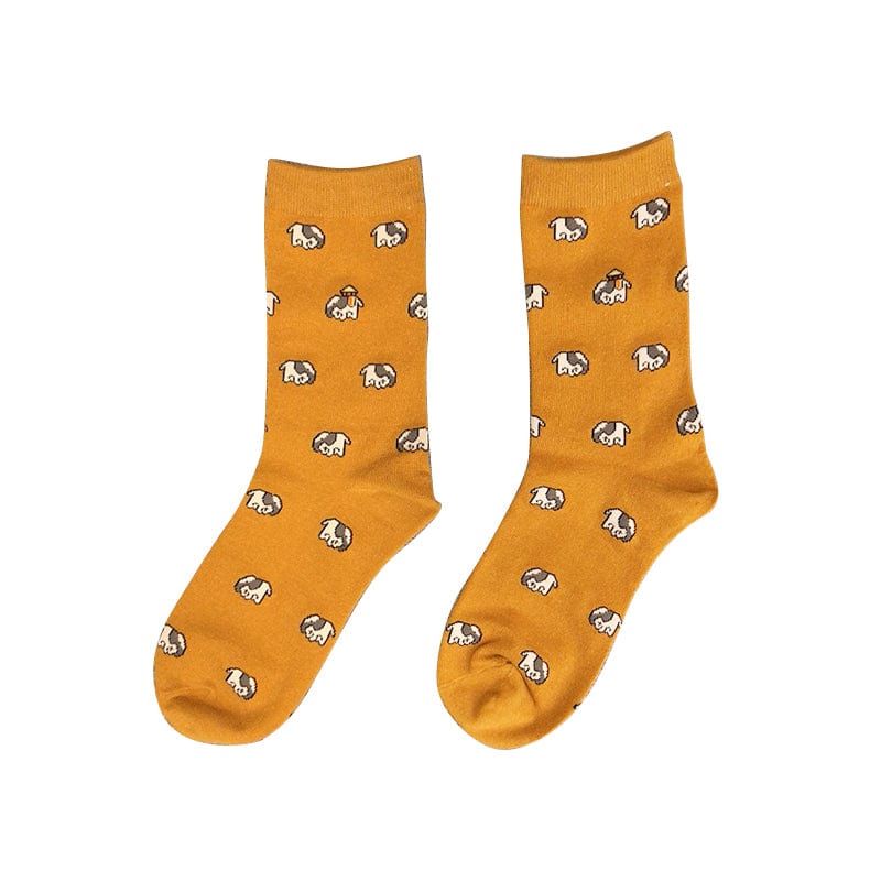 Dachshund Tangerine Socks