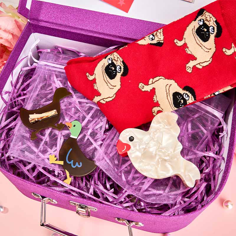 Winged and Wagging Wonders-Duck, Bird and Dog 4Pcs Gift Set | NueShiny