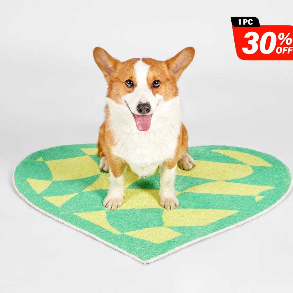 Plaid Heart Rug Indoor & Outdoor Carpet丨NueShiny