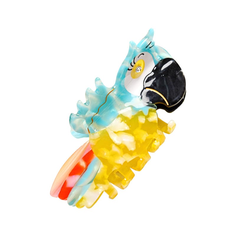 Medium Multicolor Parrot Hair Clip | NueShiny