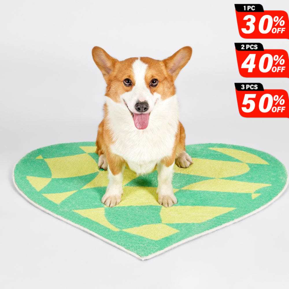 Plaid Heart Rug Indoor & Outdoor Carpet丨NueShiny