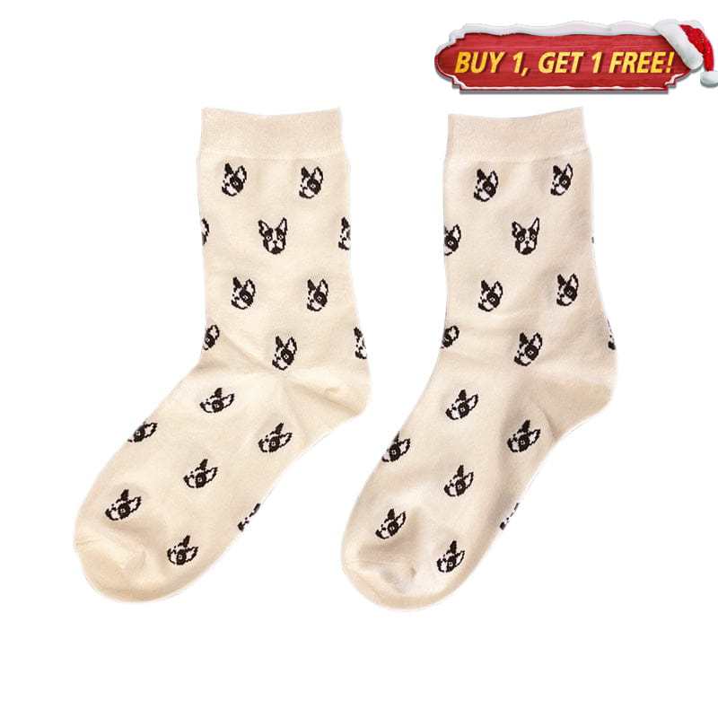 Dachshund White Socks