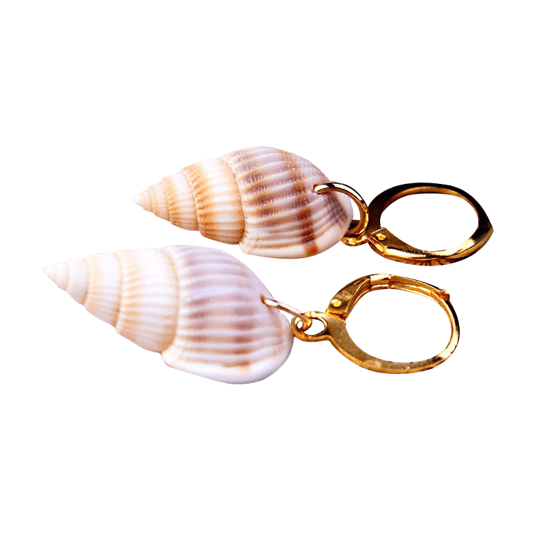 Brown Spiral Shell Earrings | NueShiny