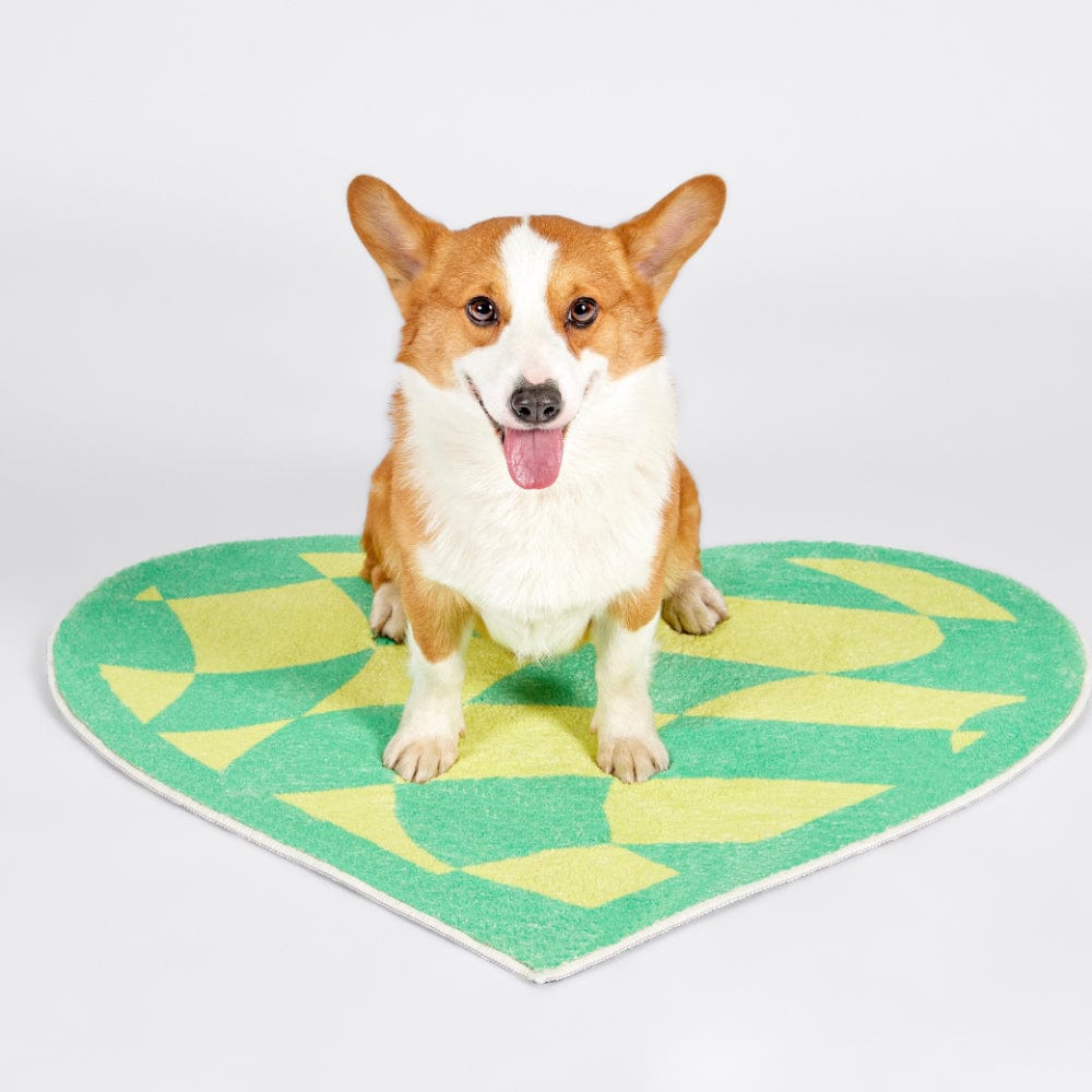 Plaid Heart Rug Indoor & Outdoor Carpet丨NueShiny