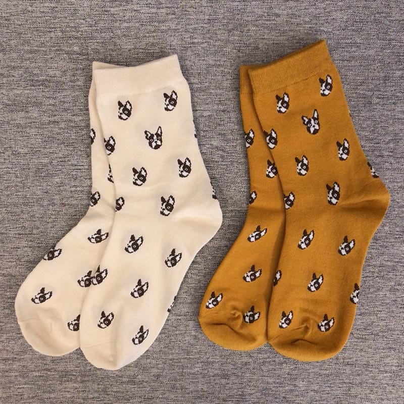 Dachshund White Socks