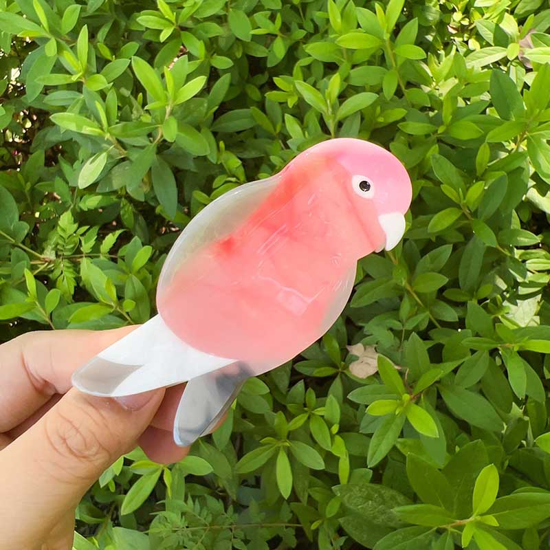 Medium  Pink Robin Hair Claw | NueShiny