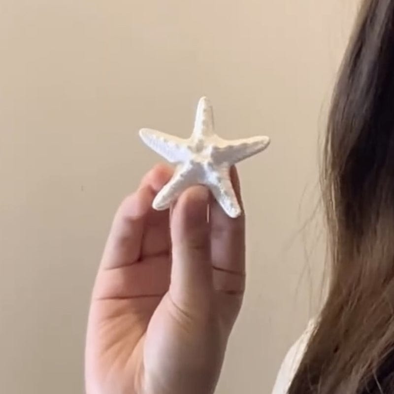 Mini White Starfish Side Clip | NueShiny