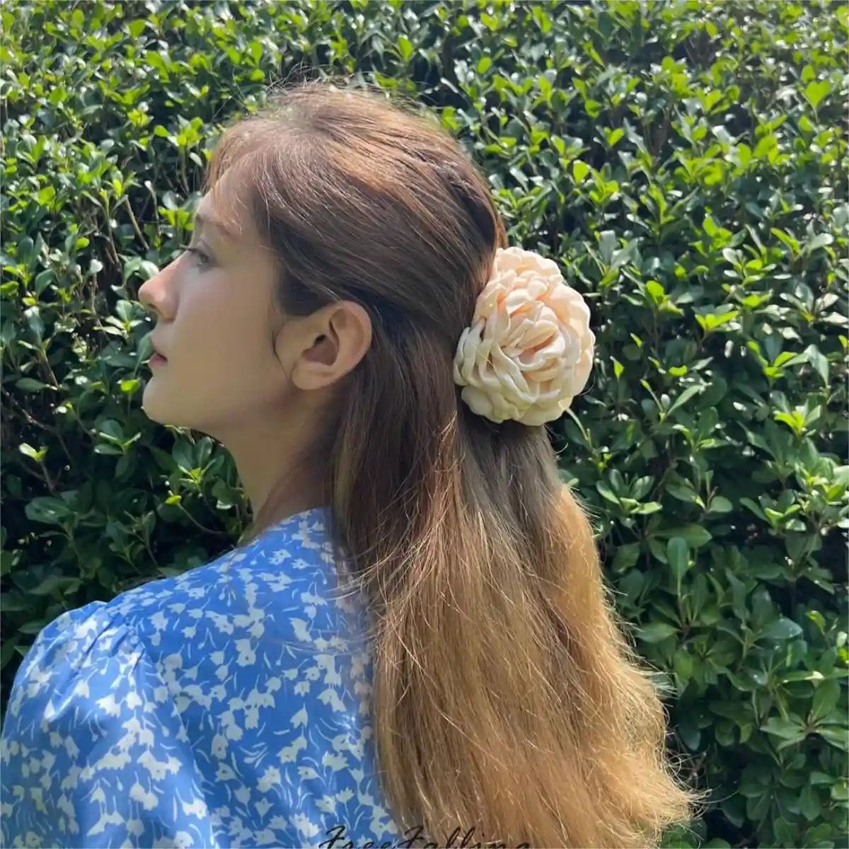 Exquisite Rosy Dry Rose Clip Hair Claw丨NueShiny