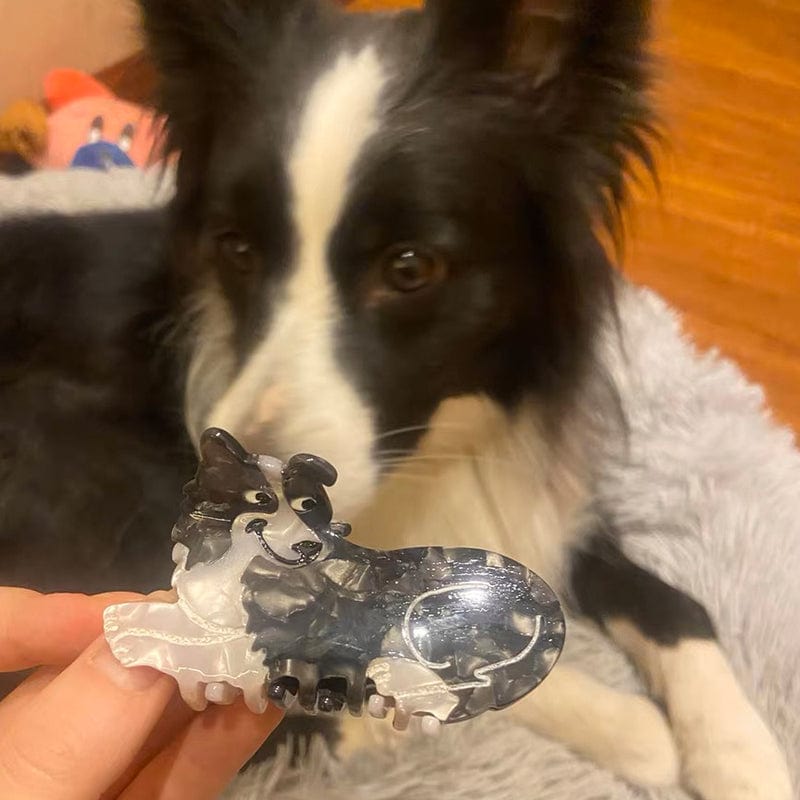 Border Collie Dog Claw丨NueShiny